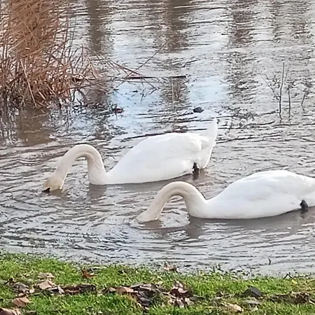Main Idyll 프리켄하우젠 암 마인